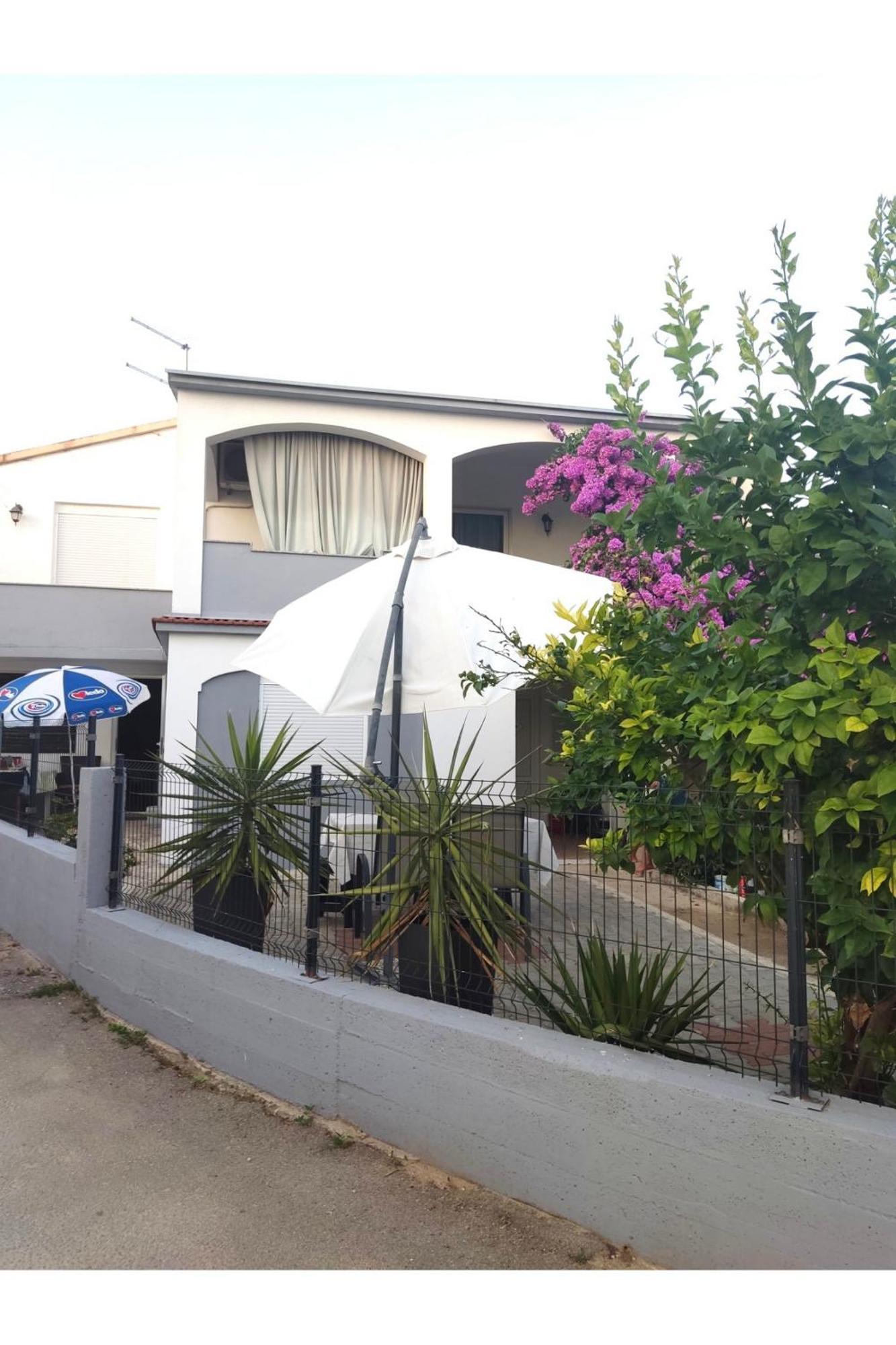 Apartment Flowers Bibinje Exterior foto